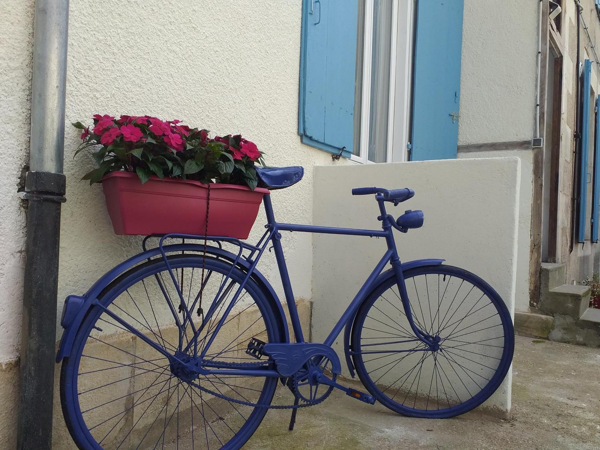 Les Volets Bleus - Deux Appartements Et Un Studio, Jardin Бурж Номер фото